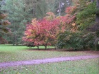2009-Westonbirt