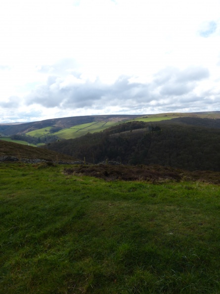 20120318-P1020706.JPG