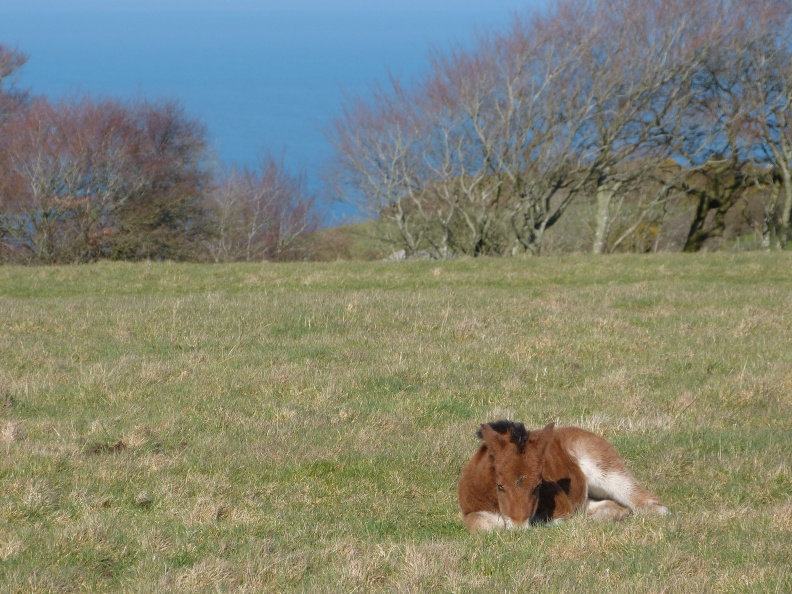20120318-P1020731.JPG